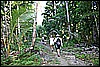 IMG_4000.JPG