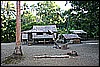 IMG_4006.JPG