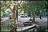 IMG_4007.JPG