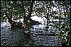 IMG_4009.JPG