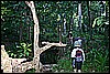 IMG_4011.JPG