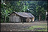 IMG_4016.JPG