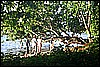 IMG_4023.JPG