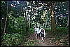 IMG_4024.JPG