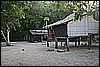 IMG_4025.JPG