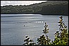 IMG_4031.JPG
