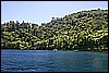 IMG_4054.JPG