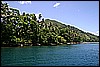 IMG_4061.JPG