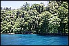 IMG_4063.JPG