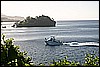 IMG_4079.JPG