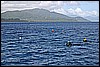 IMG_4093.JPG