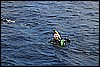 IMG_4094.JPG