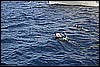IMG_4095.JPG