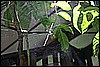 IMG_4125.JPG