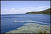 IMG_4139.JPG