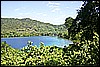 IMG_4146.JPG