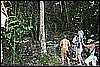 IMG_4155.JPG