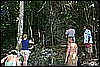 IMG_4156.JPG