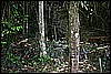 IMG_4172.JPG