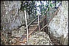 IMG_4175.JPG