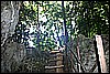 IMG_4177.JPG