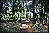 IMG_4178.JPG