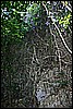 IMG_4181.JPG