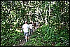 IMG_4184.JPG