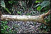 IMG_4187.JPG