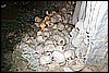 IMG_4191.JPG