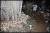 IMG_4193.JPG