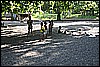 IMG_4204.JPG