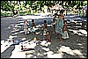 IMG_4205.JPG