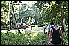 IMG_4206.JPG