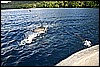 IMG_4225.JPG
