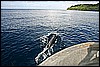IMG_4228.JPG