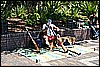 IMG_4291.JPG