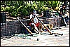 IMG_4293.JPG