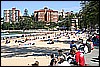 IMG_4319.JPG