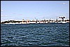 IMG_4331.JPG