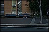 IMG_4351.JPG