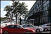 IMG_4367.JPG