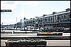 IMG_4368.JPG