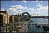 IMG_4390.JPG