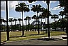IMG_4411.JPG