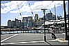 IMG_4414.JPG