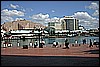 IMG_4426.JPG