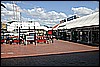 IMG_4427.JPG