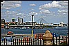 IMG_4433.JPG