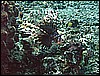 M0010082.JPG